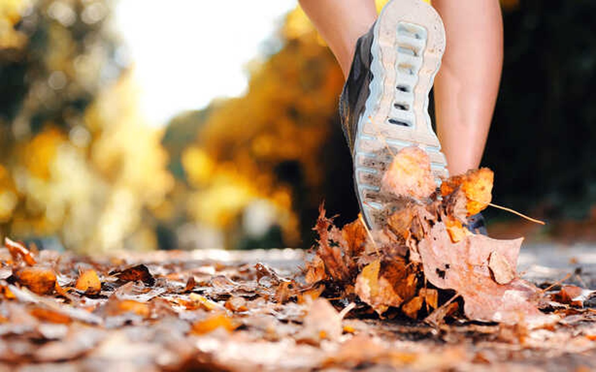 Spor Yapmak Damar Sağlığına İyi Geliyor!