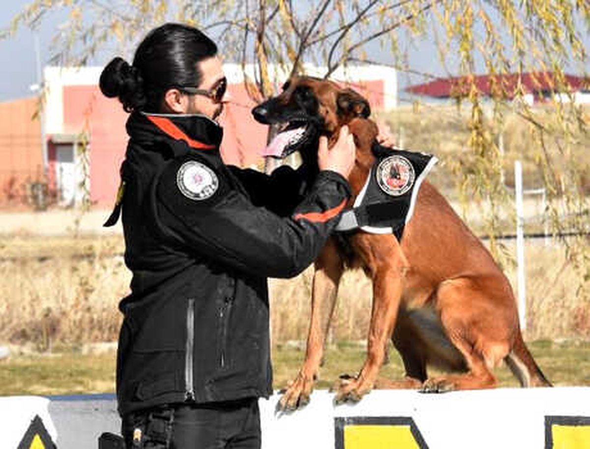 Van Emniyetinin Hassas Burunlu Köpekleri Türkiye Rekoru Kırdı