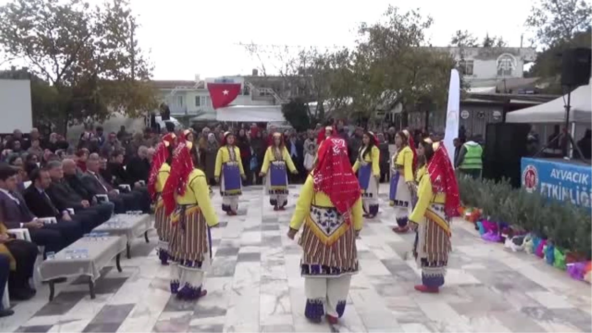Ayvacık\'ta Zeytin Şenliği Festivali Yapıldı - Çanakkale