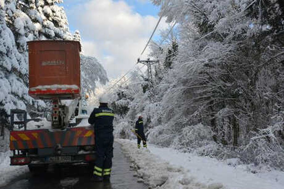 Bedaş, Kesintisiz Enerji İçin Önlem Aldı