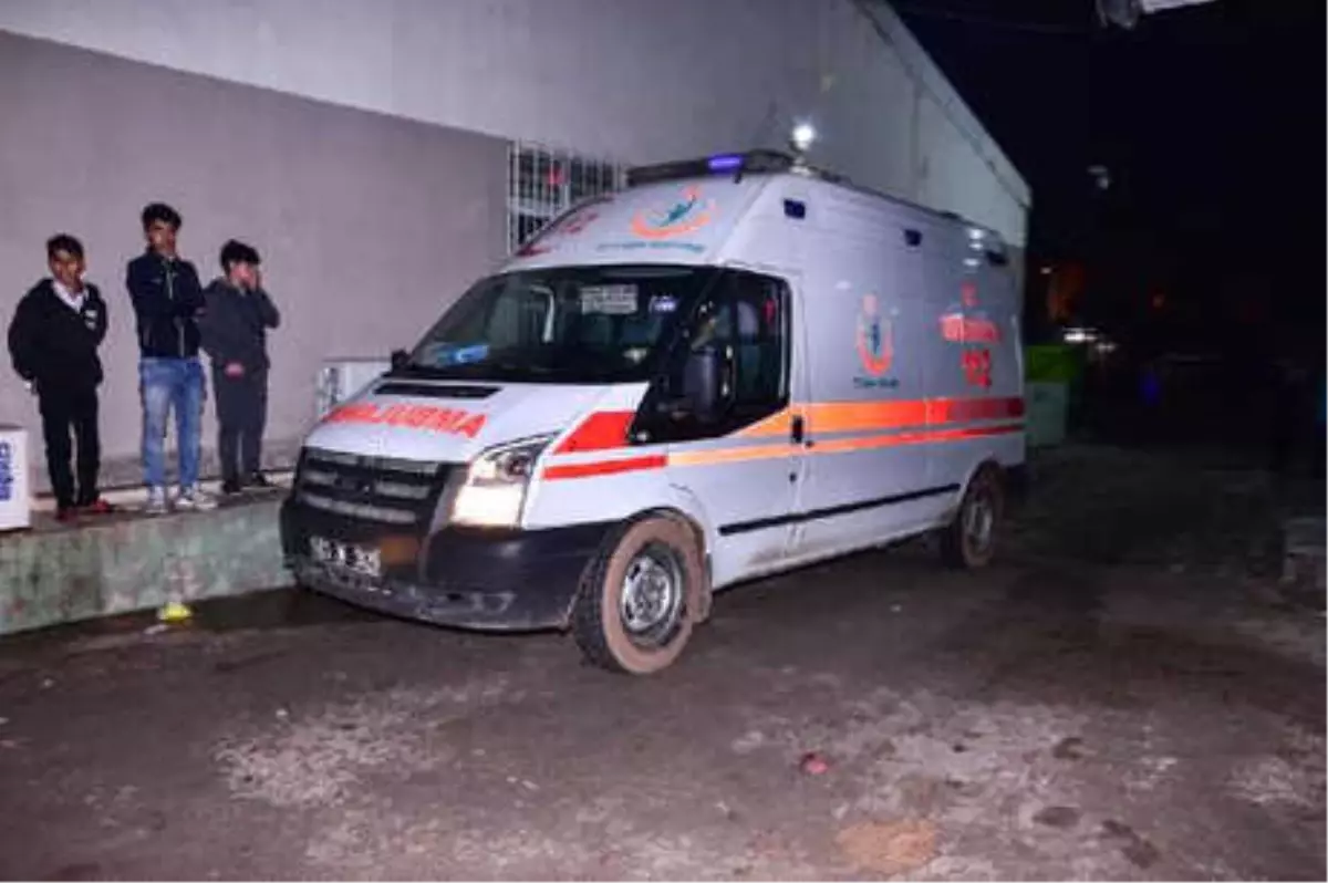 Ceylanpınar\'da Kamyonet Şarampole Devrildi: 4 Yaralı