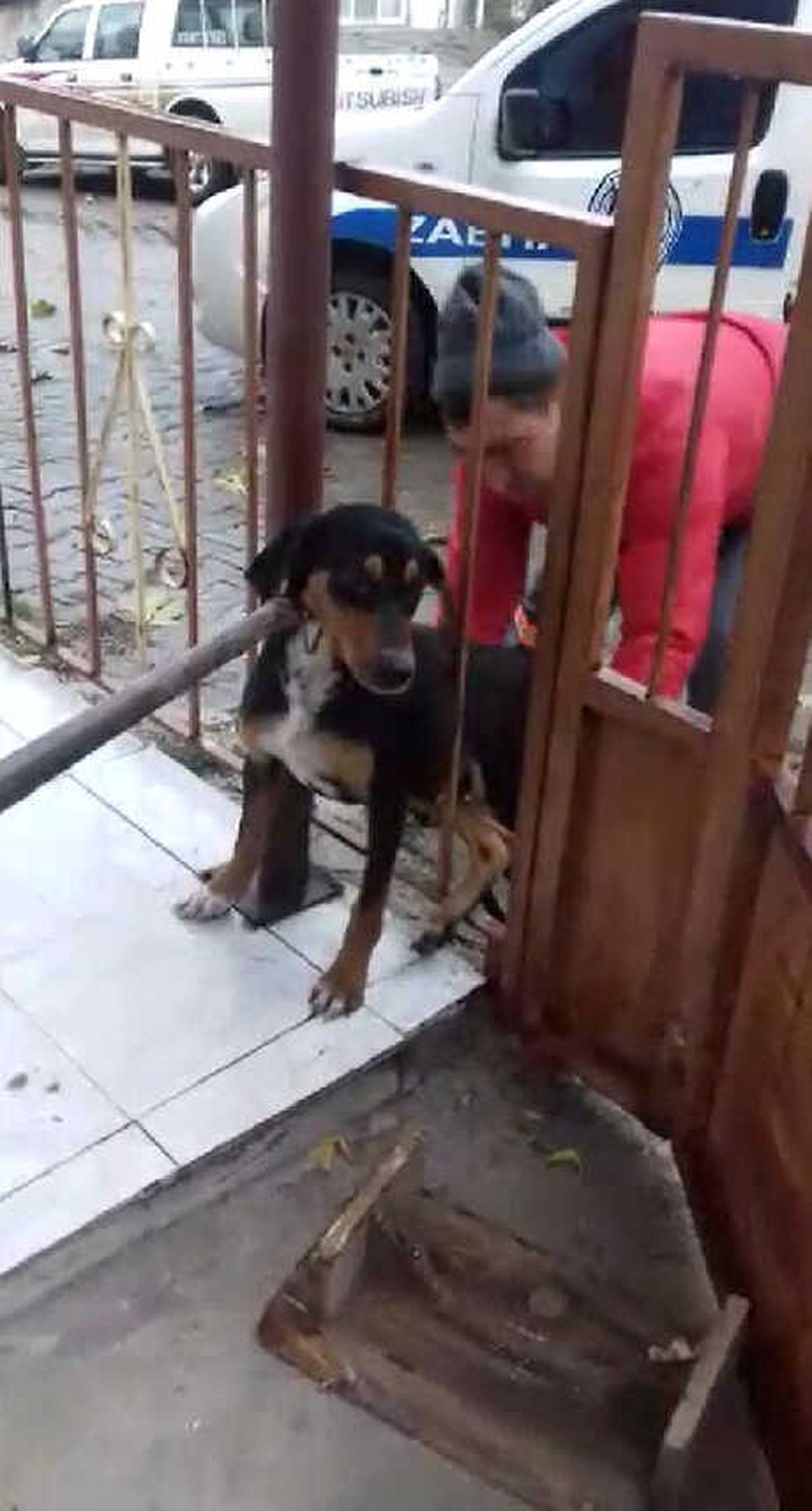 Demir Kapının Parmaklıklarına Sıkışan Köpeği, İtfaiye Kurtardı