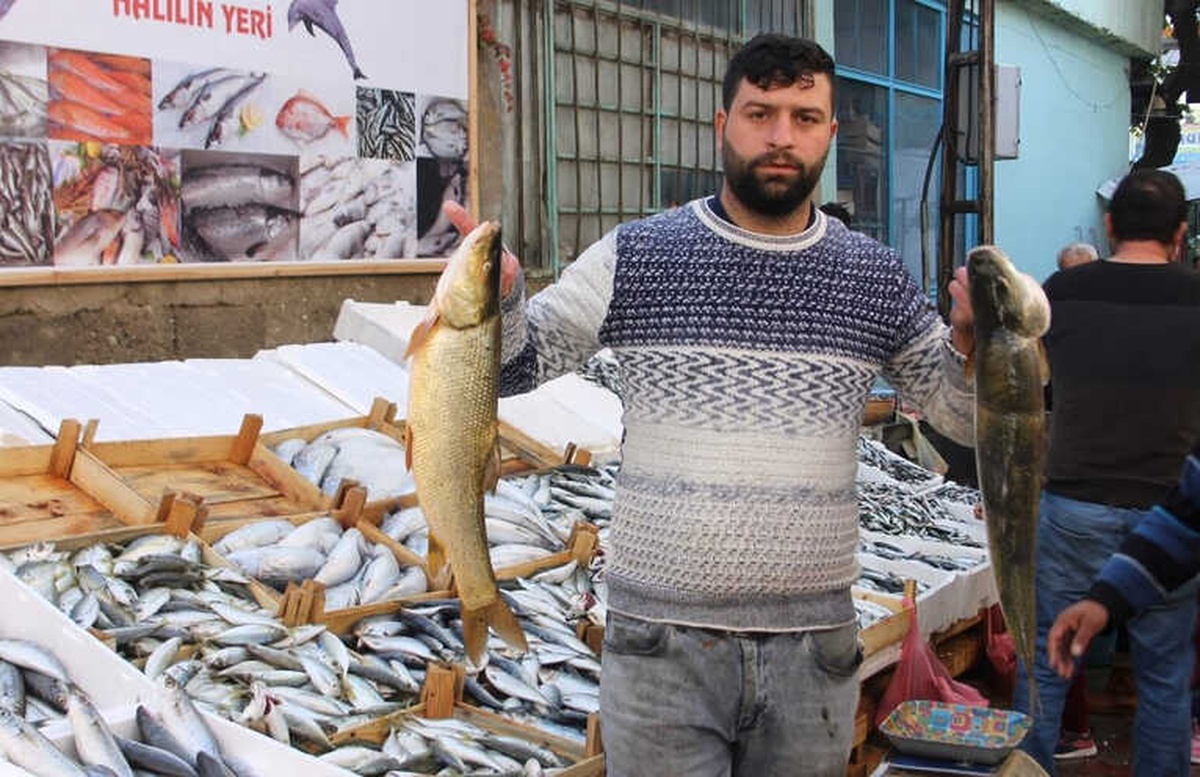 Kırmızı Etteki Fiyat Artışı Vatandaşı Balığa Yöneltti