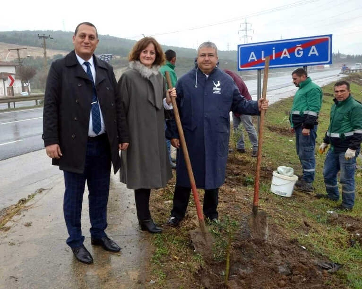 Aliağa\'da Bin Zeytin Fidanı Toprakla Buluştu
