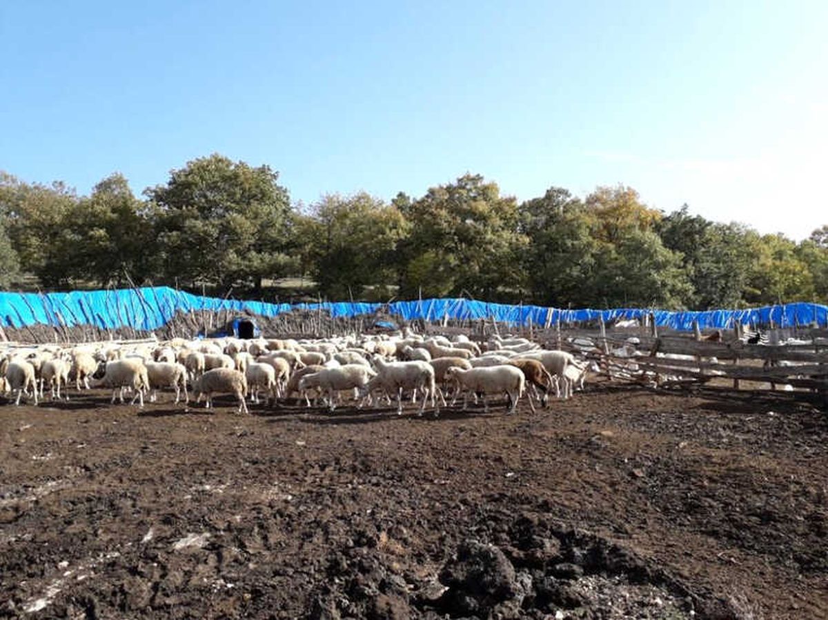 Çiftçiye 703 Bin Liralık Prim Hakedişi