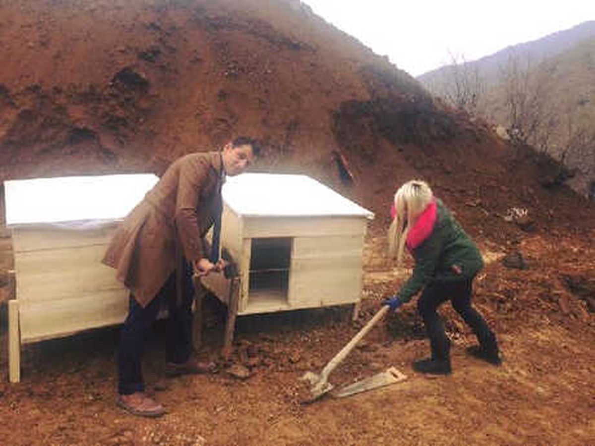 Eda Öğretmen, Şemdinlili Çocuklar ve Sokak Köpekleri İçin Çabalıyor