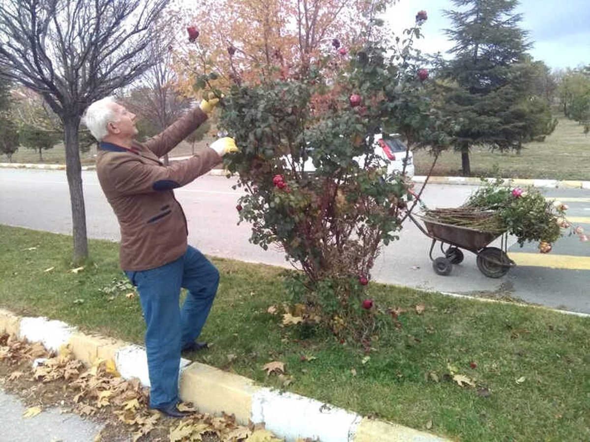 Emekli Öğretmen İsmet Postal "Örnek Öğretmen" İlan Edildi