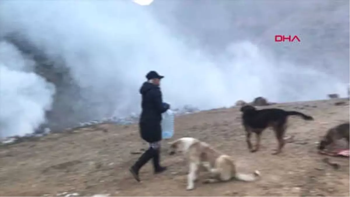 Hakkari Eda Öğretmen, Şemdinlili Çocuklar ve Sokak Köpekleri İçin Çabalıyor