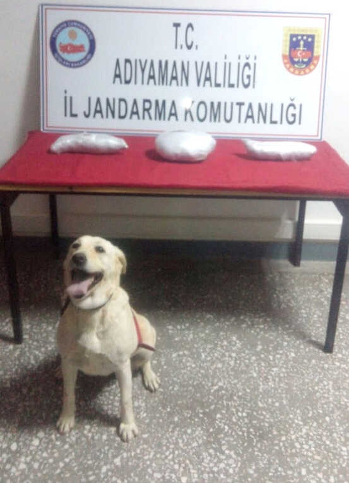 Jandarma Uyuşturucu Madde Ele Geçirdi