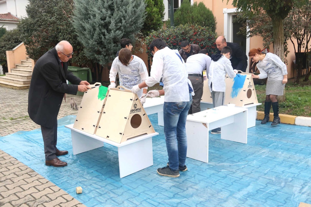 Kedi Evlerini Minik Eller Boyadı
