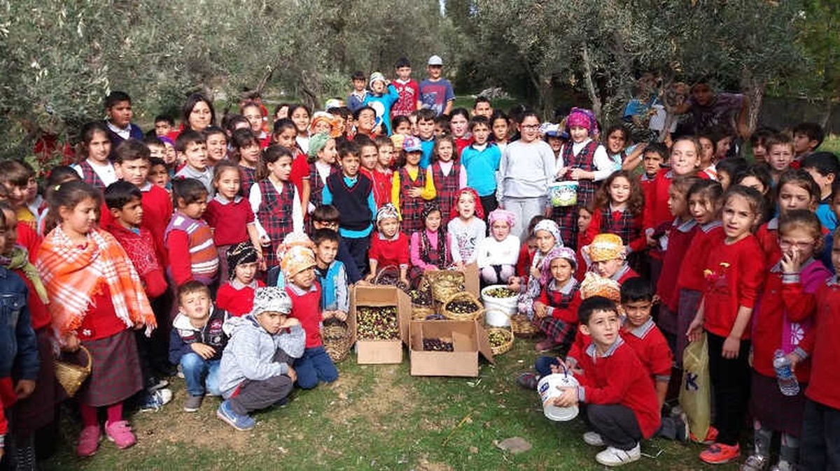 Öğrencileriyle Zeytinyağı Yapıp Hayvanlara Mama Aldı