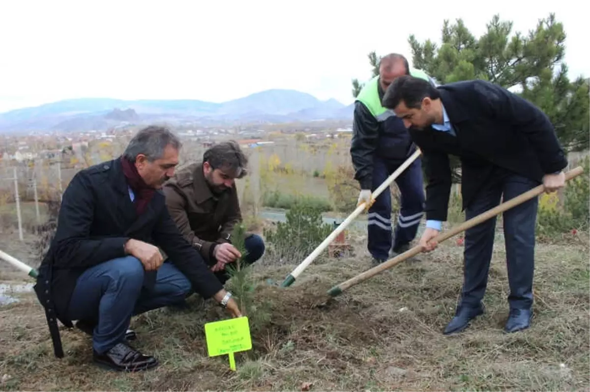 Öğretmenler Günü Dolayısıyla 1453 Fidan Toprakla Buluştu.
