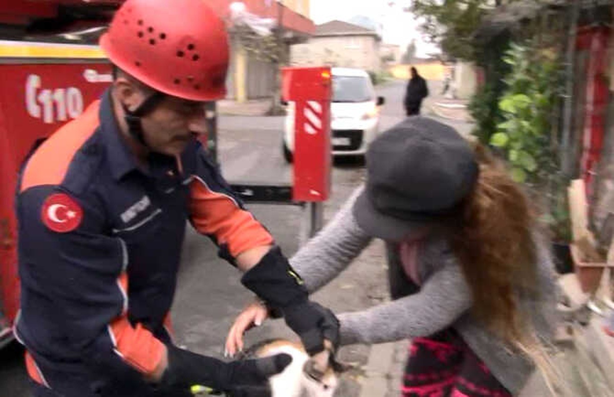 Elektrik Direğine Çıkan \'Kırçıl\'ı İtfaiye Ekipleri Kurtardı
