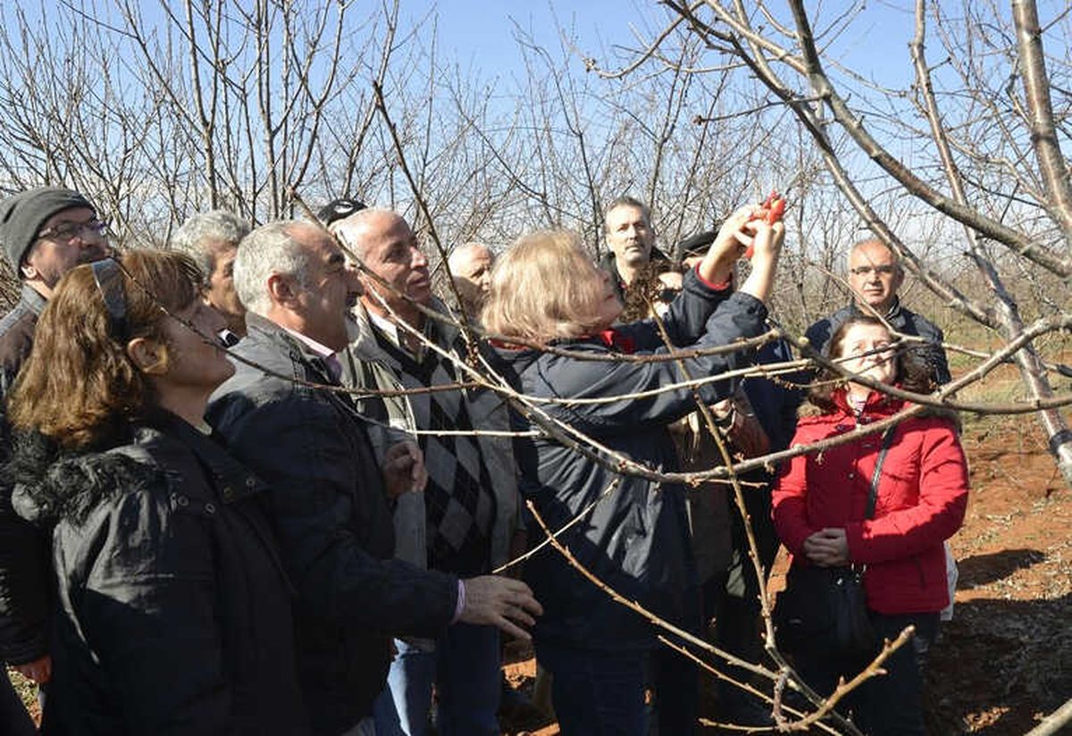 Tepebaşı Belediyesi\'nden Budama Eğitimi Başlıyor