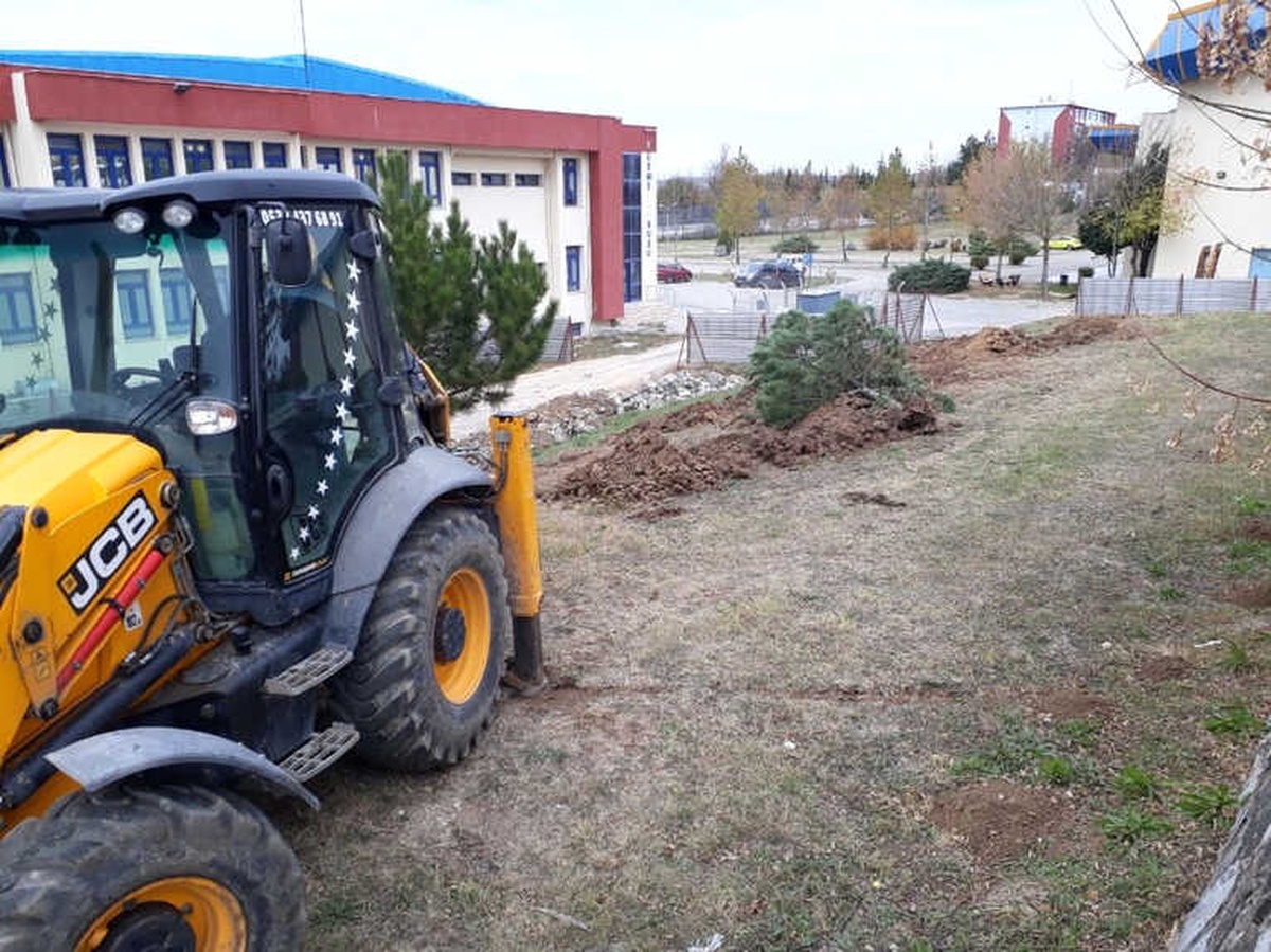Trakya Üniversitesi Rektörlüğü\'nden \'Ağaç Kesimi\' İddialarına Yanıt
