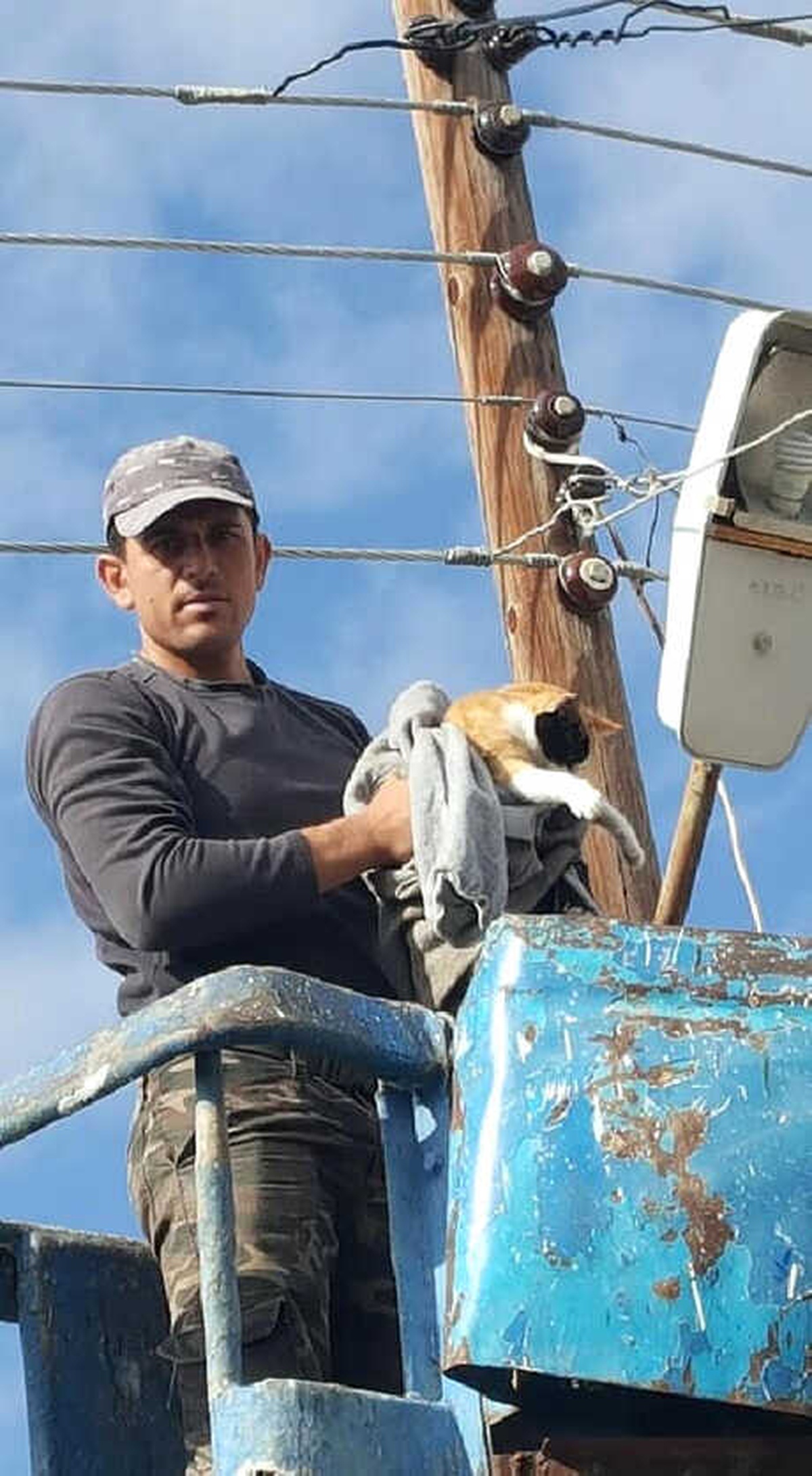 Elektrik Tellerine Ayağı Takılan Kedi, Saatlerce Direkte Kaldı