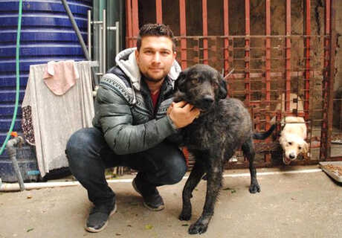 Kazada Yaralanan Köpeği \'Duman\' İçin Hukuk Mücadelesi Başlattı