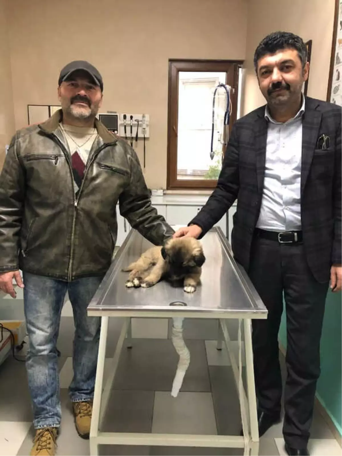 Vatandaşlar Yavru Köpek İçin Seferber Oldular