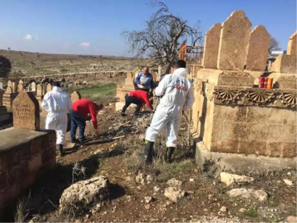 Alman Hasta Bakıcının Öldürdüğü Öne Sürülen Kadının Mardin\'deki Mezarı Açıldı