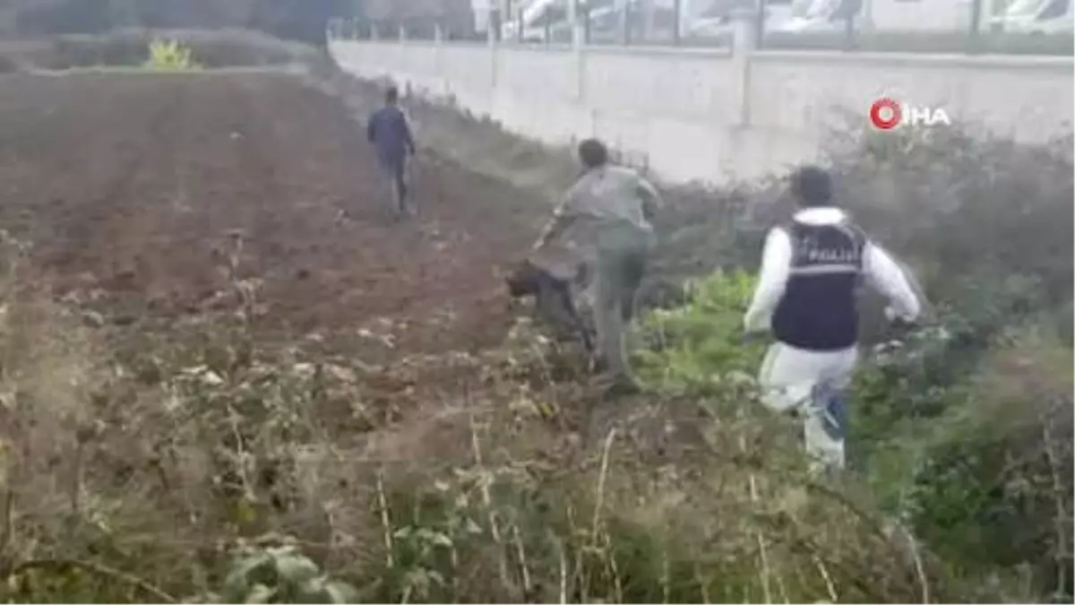 Cemal Kaşıkçı\'nın Arandığı Malikaneler Kaçak Çıktı