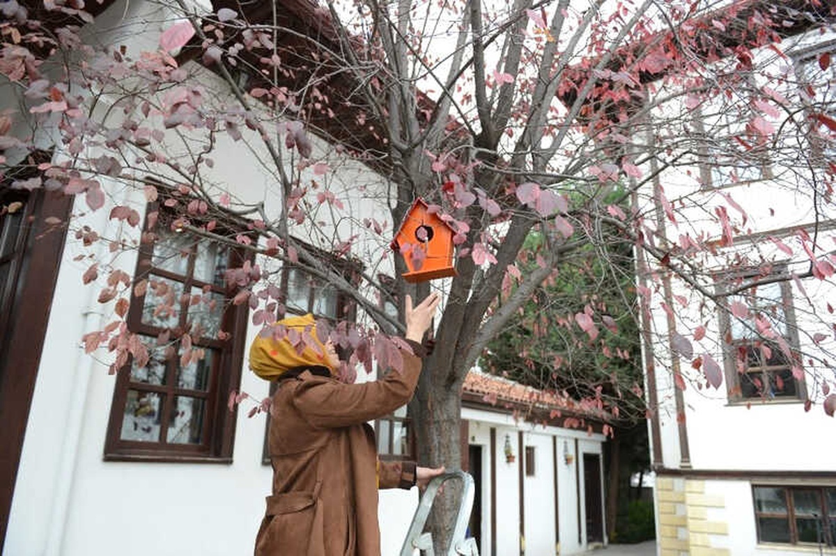 Kadın Kursiyerlerden Kuşlara Renkli Yuva
