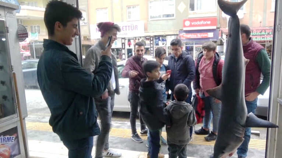 Mardin\'de 85 Kiloluk Köpek Balığına Yoğun İlgi