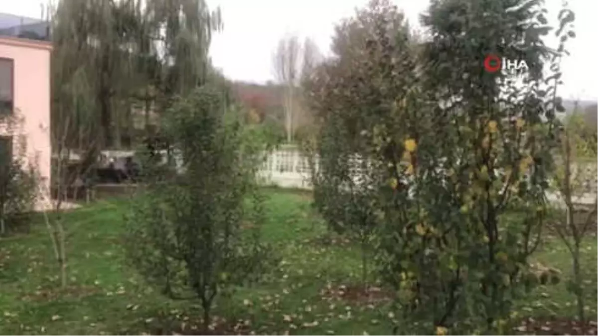 Yalova\'da Kaşıkçı Hareketliliği...villanın Kuyusunda Arama Yapılıyor