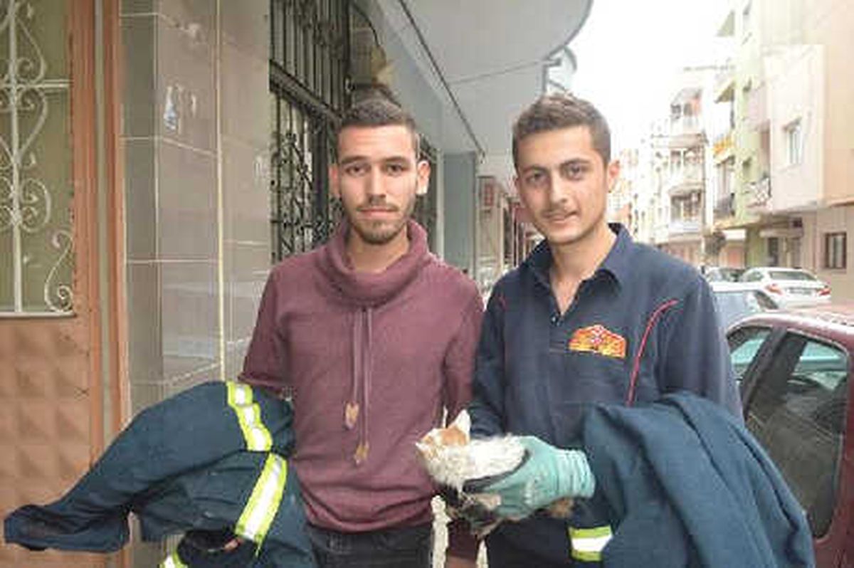 Havalandırma Boşluğuna Düşen Yavru Kediyi İtfaiye Kurtardı