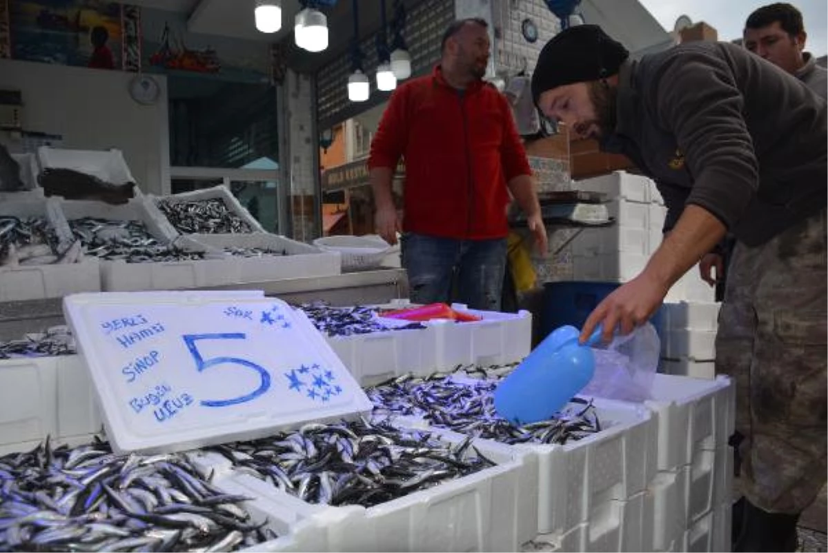 Karadeniz\'de Hamsi Bereketi; Kilosu 10 Liradan 5 Liraya Geriledi