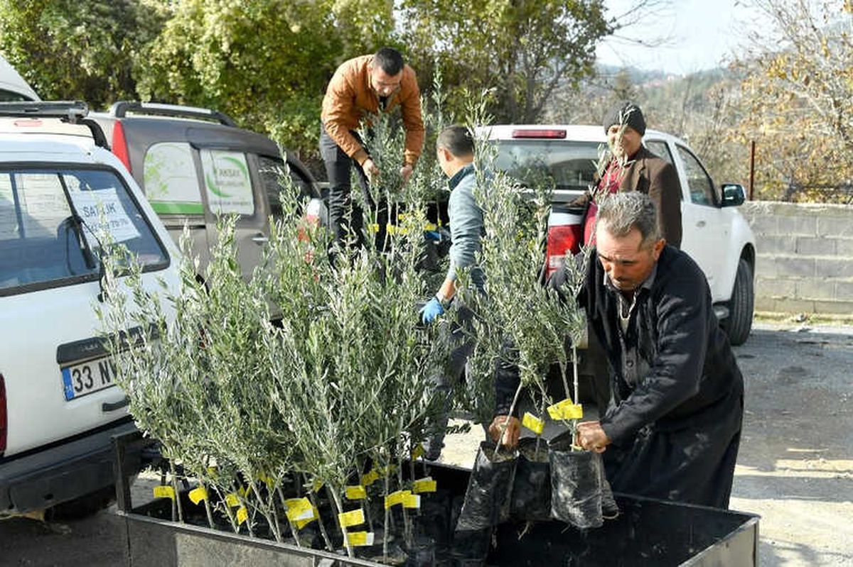 Mersin\'de Tarıma Belediye Desteği