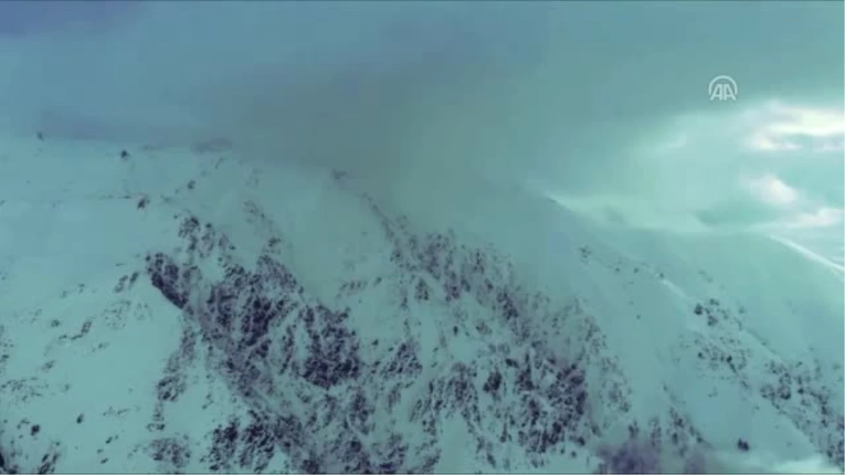 Nadir Görülen Çengel Boynuzlu Dağ Keçisi Drone ile Görüntülendi