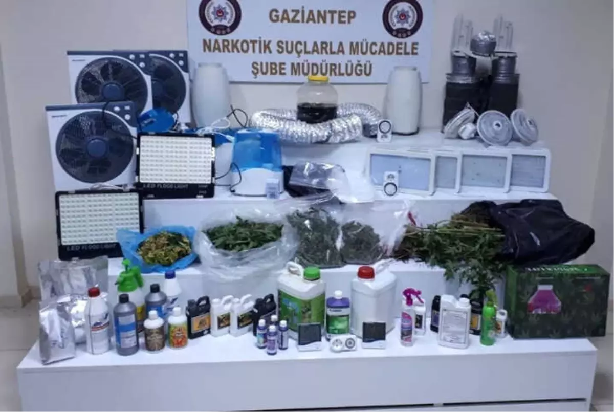 Odada Uyuşturucu Yetiştirenlere Polis Darbesi