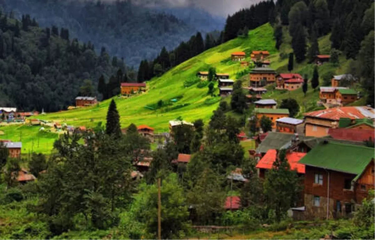 Trabzon için San Francisco önerisi