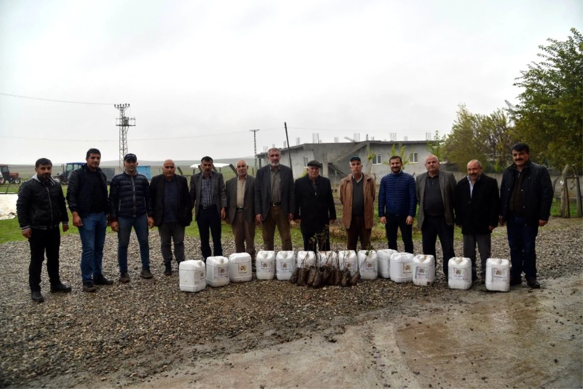 Büyükşehir\'den Çiftçilere Fidan ve Gübre Desteği