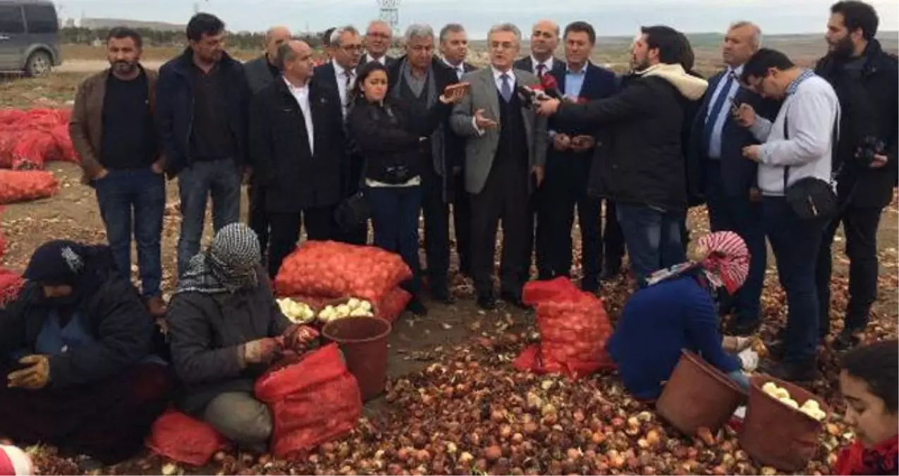 CHP Heyeti, Polatlı\'da Bulunan Soğan Depolarını Gezdi