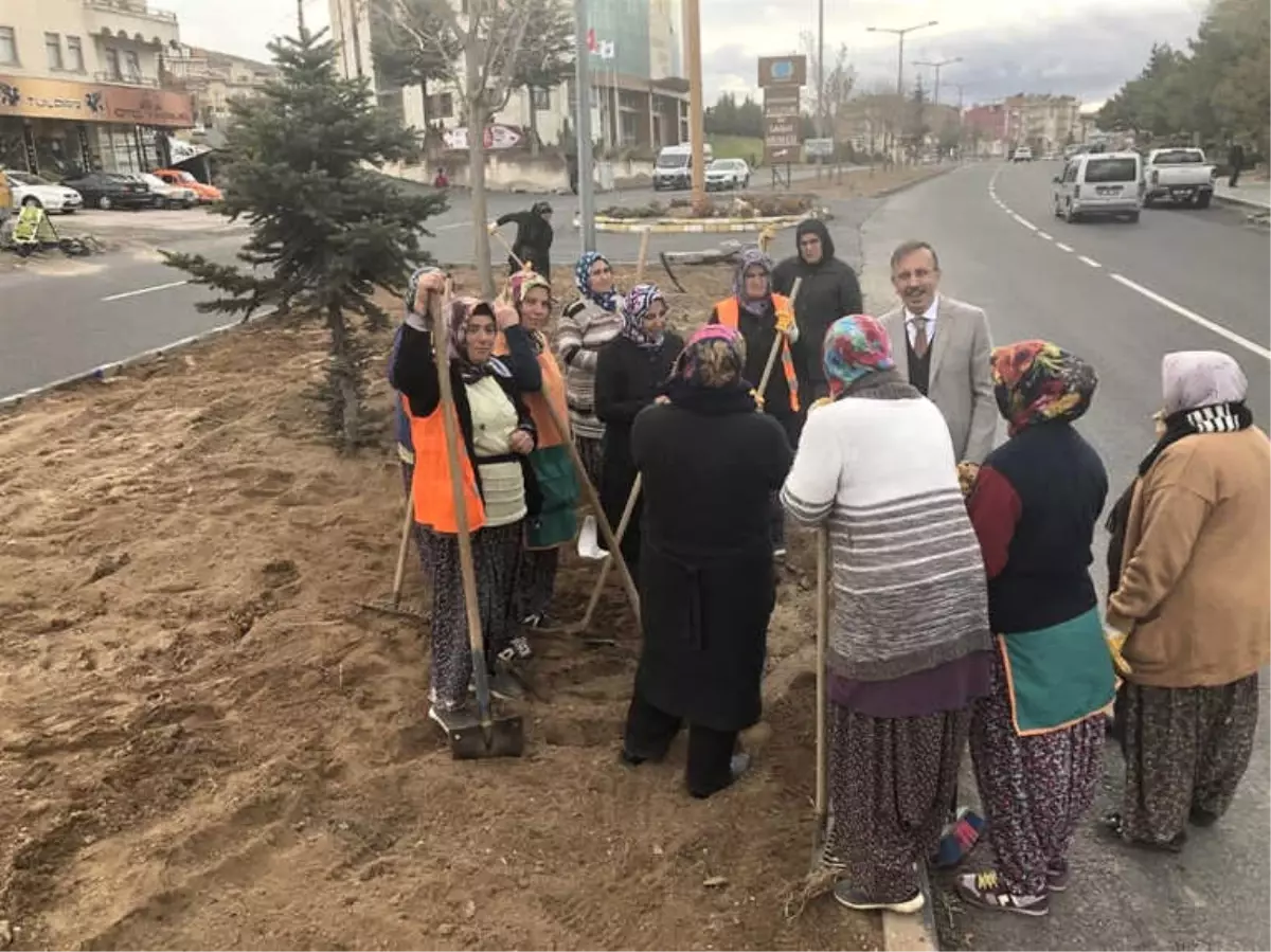 Nevşehir\'de Refüj Çalışmalarına Kadın Eli Değiyor