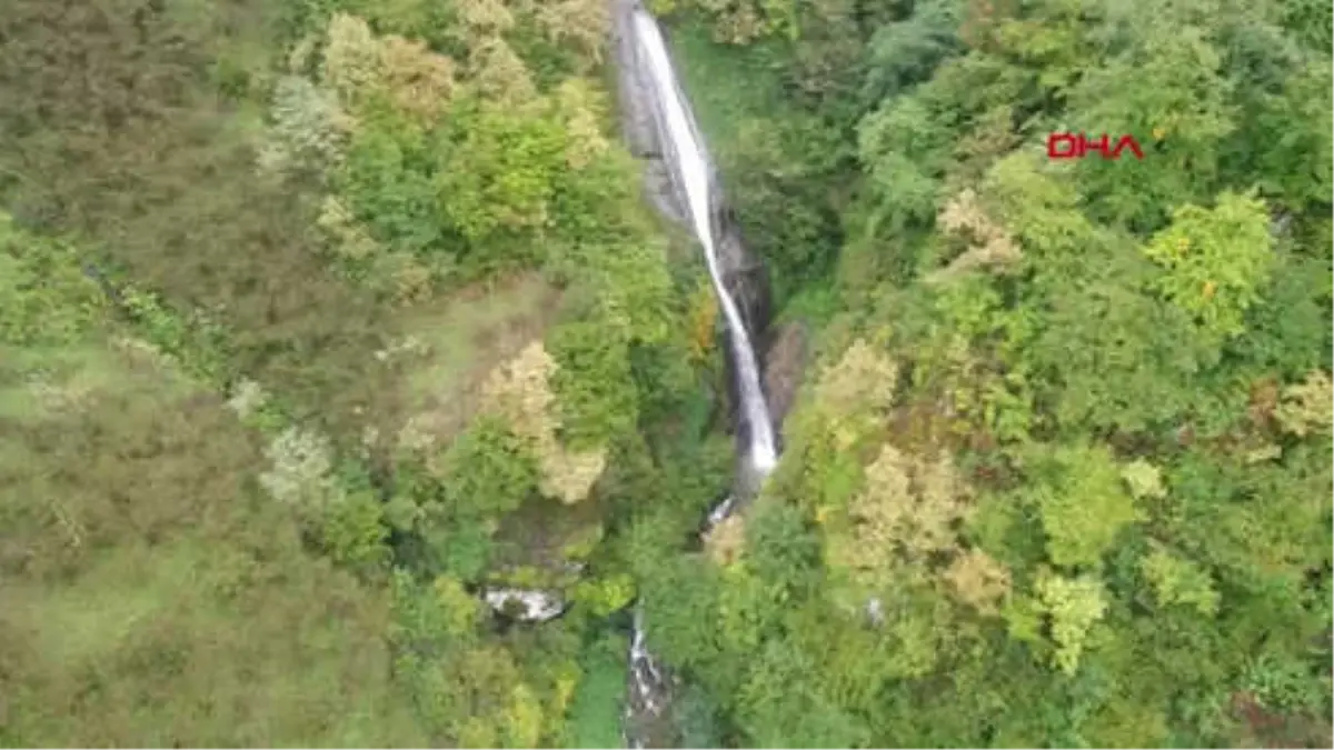 Ordu Turnasuyu Irmağında Kuruma Tehlikesi