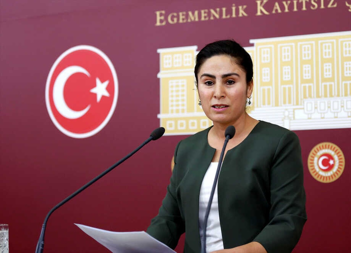 Hdp Şanlıurfa Milletvekili Ayşe Sürücü Açıklaması