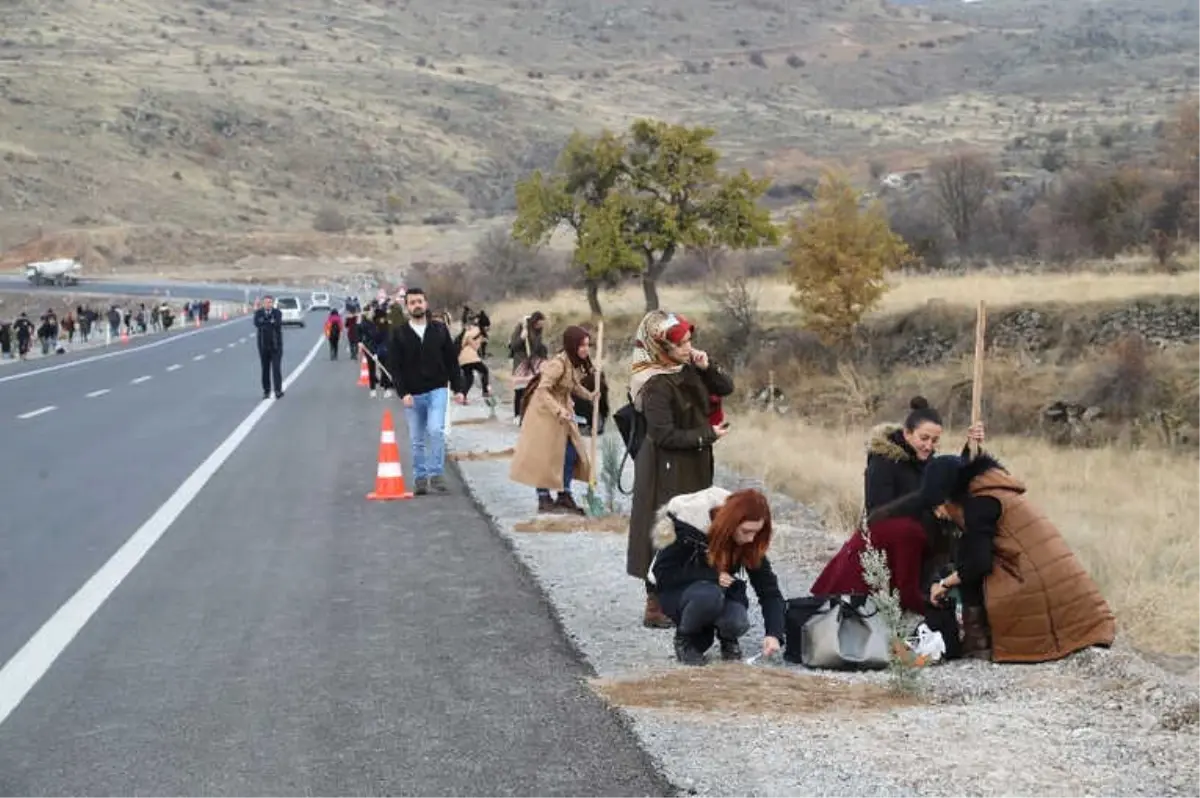 Talas\'ta Çevre İçin Fidan Dikimi