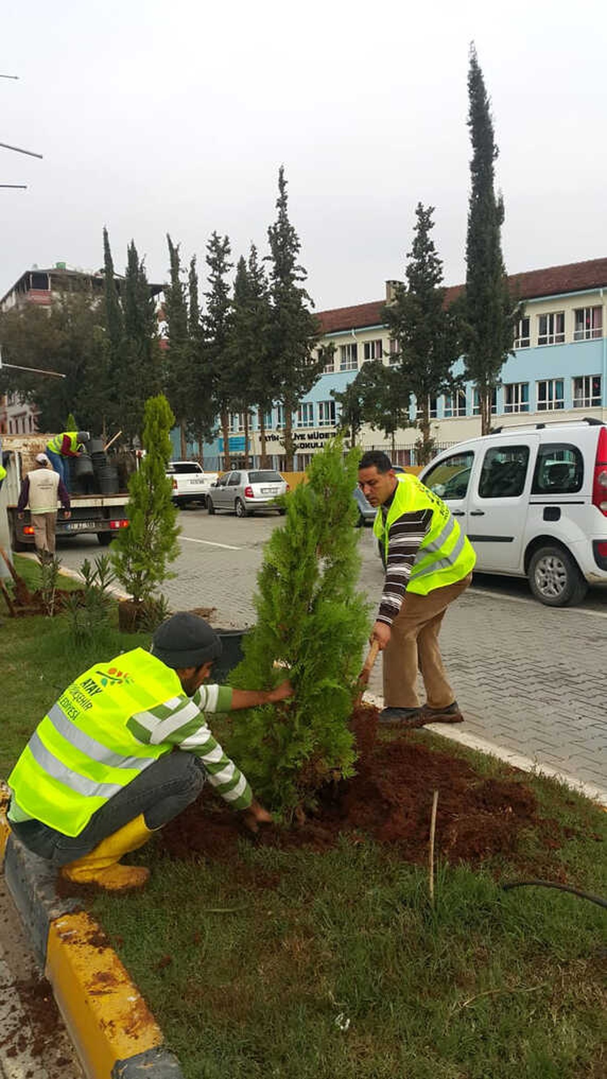 Ağaçlandırma Çalışmaları Hız Kesmiyor