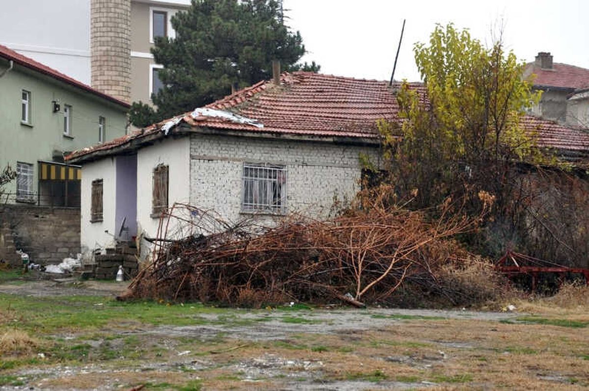 Av Tüfeğiyle Vurularak Öldürüldü
