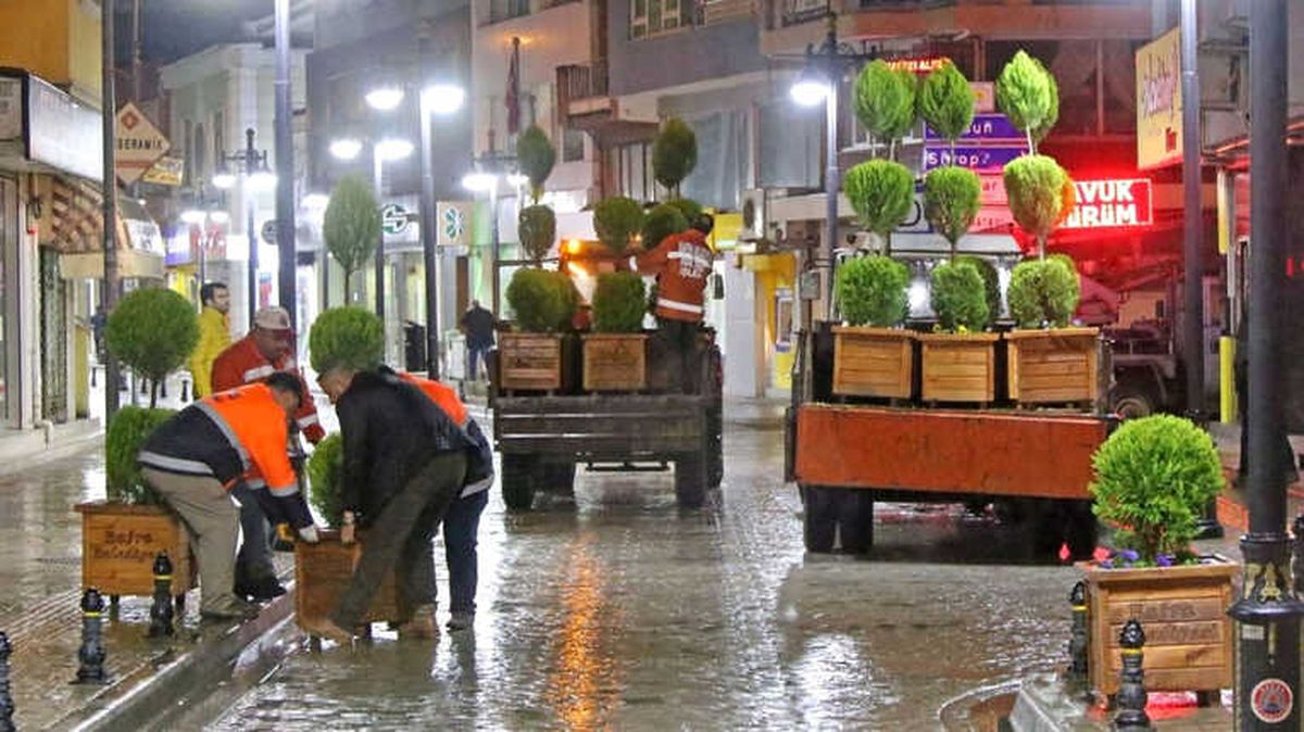 Bafra Yeşilleniyor