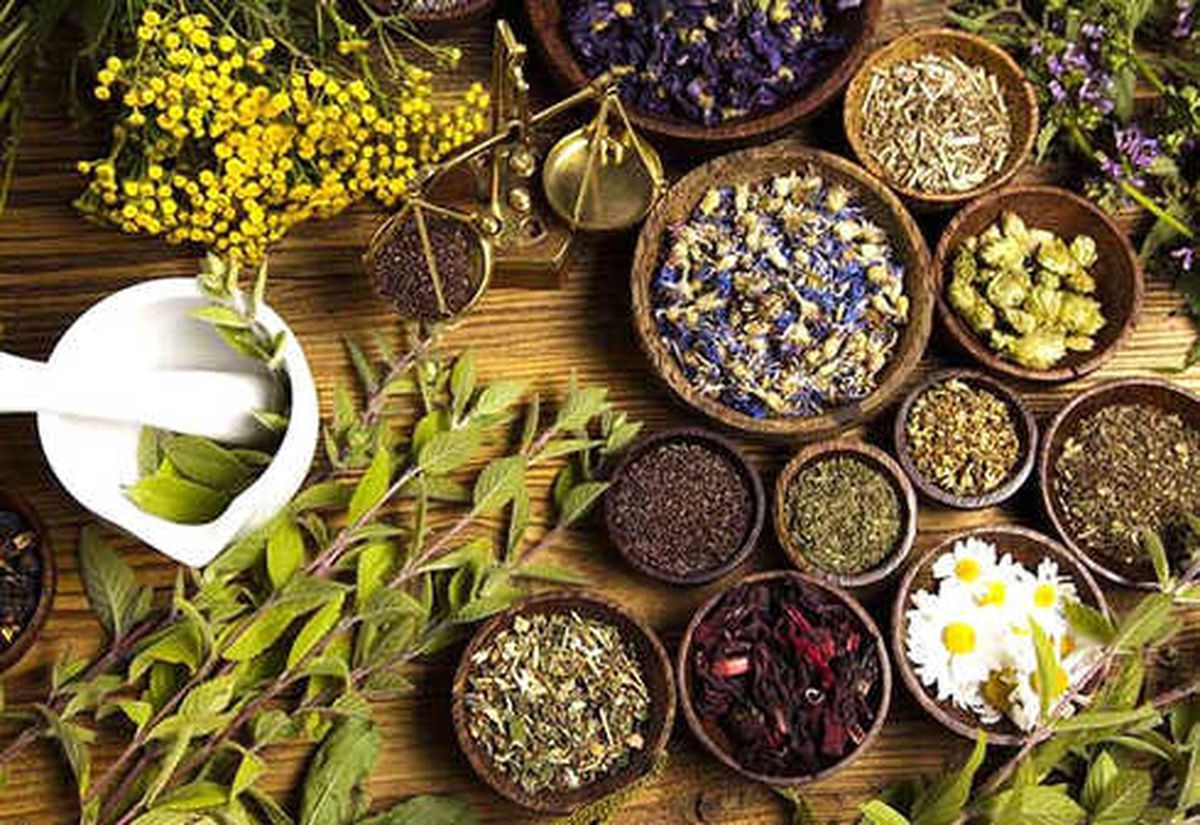 Fitoterapi Nedir?