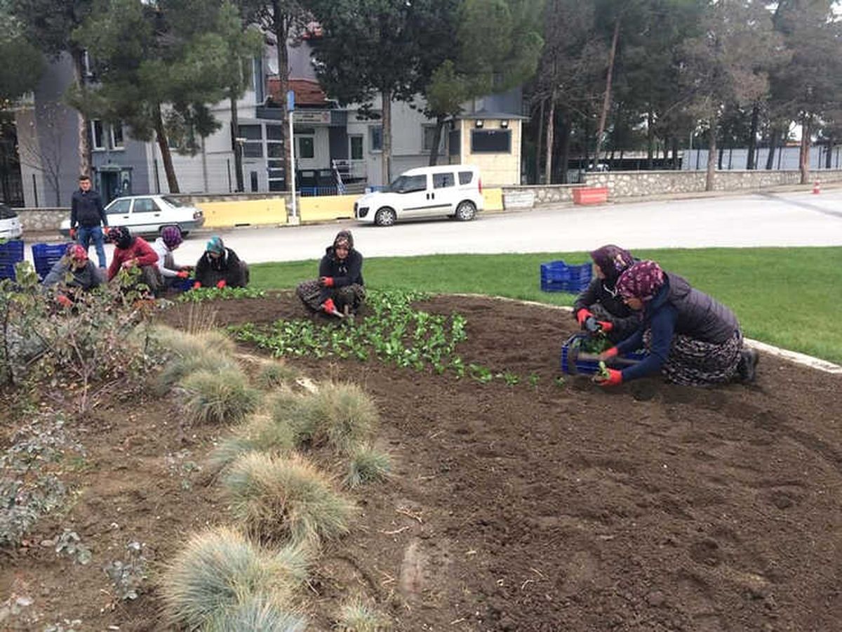 Park Bahçeler Müdürlüğü Üretim Merkezi Oldu