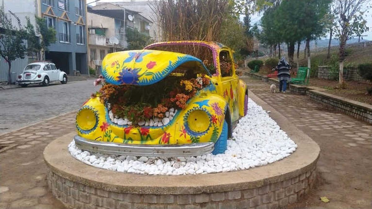 Vosvos Çiçek Açtı