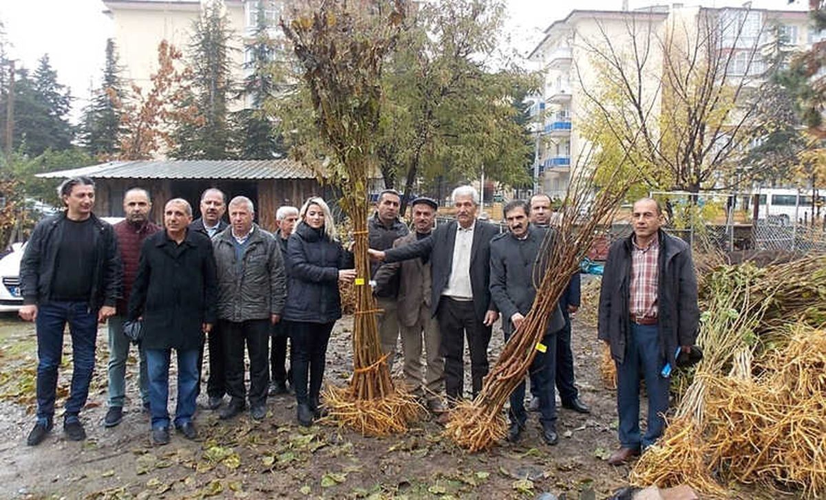 75 Üreticiye Dut Fidanı Dağıtıldı