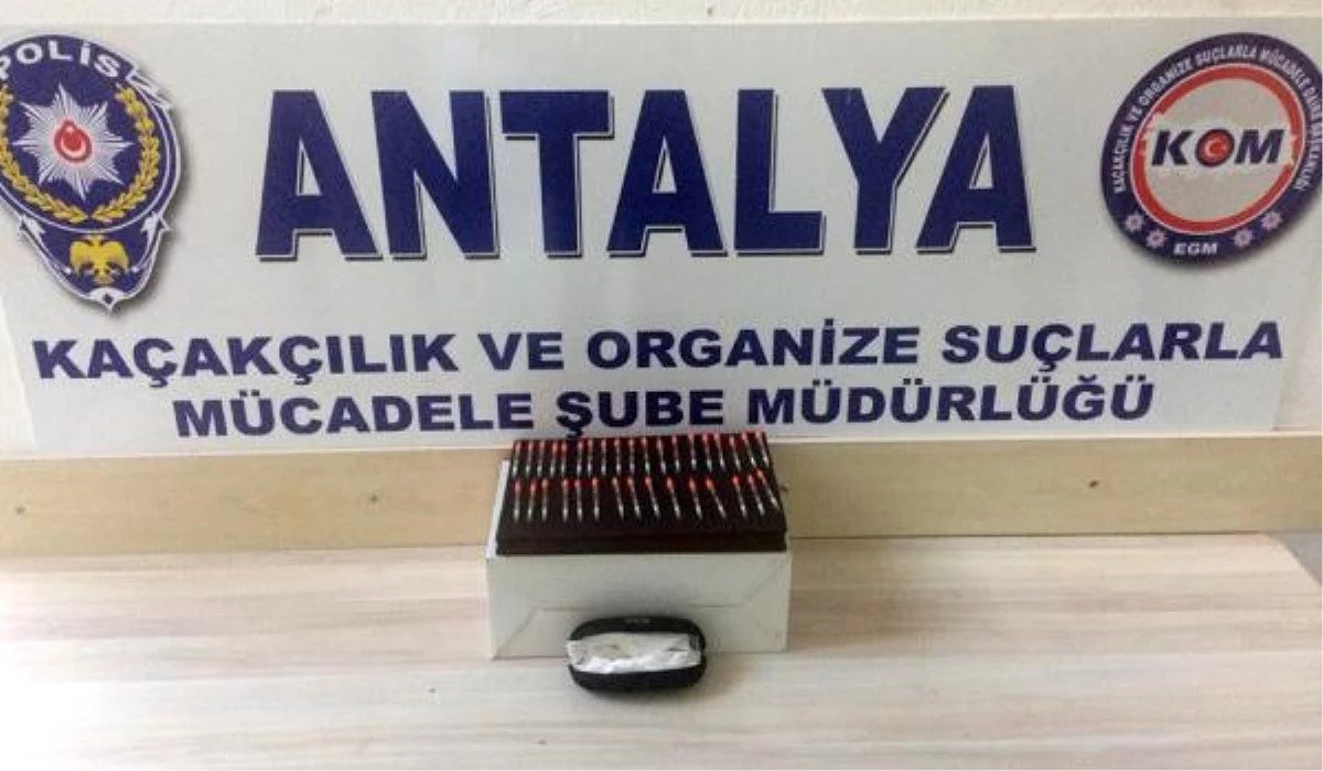 Antalya\'da 34 Tüp Kobra Zehri Ele Geçirildi