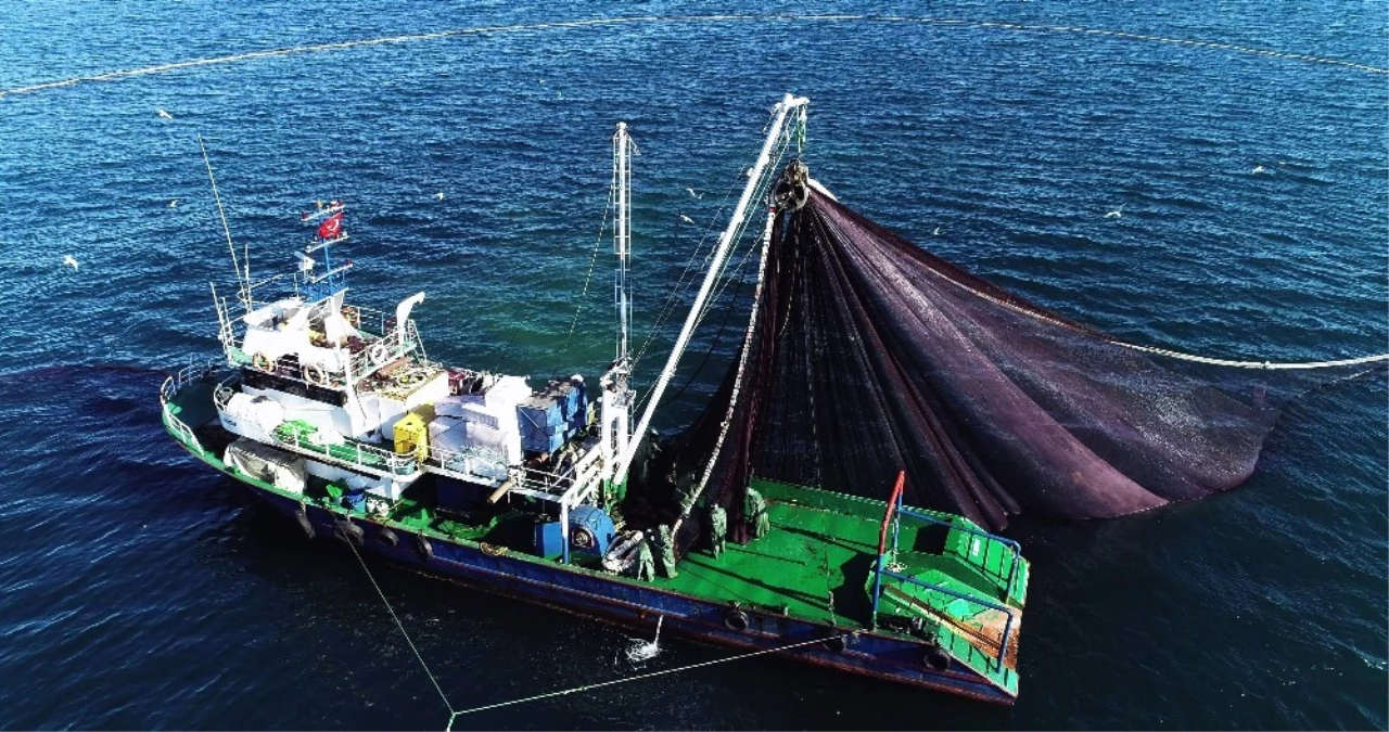 Doğu Karadenizli Balıkçılar Hamsiyi Batı Karadeniz\'de Arıyor