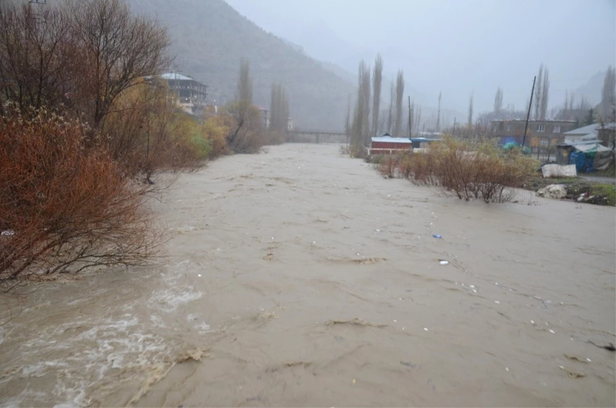 Habur Çayı İçin Tehlike Çanları Çalıyor