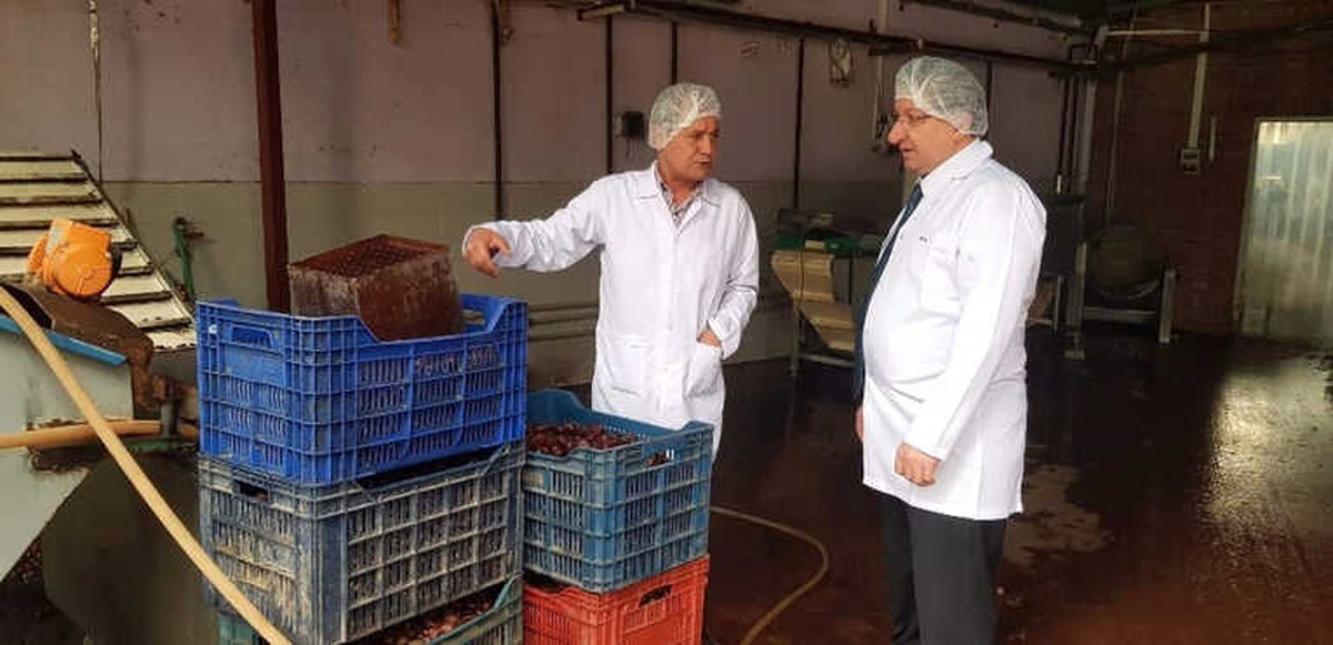 Kebabı ve Şekeriyle Ünlü Kestaneler İçin Tanıtım Başlatılacak